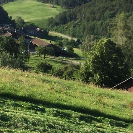 Ferienwohnung Hof Unterer Duerrenberg Langenbruck Экстерьер фото