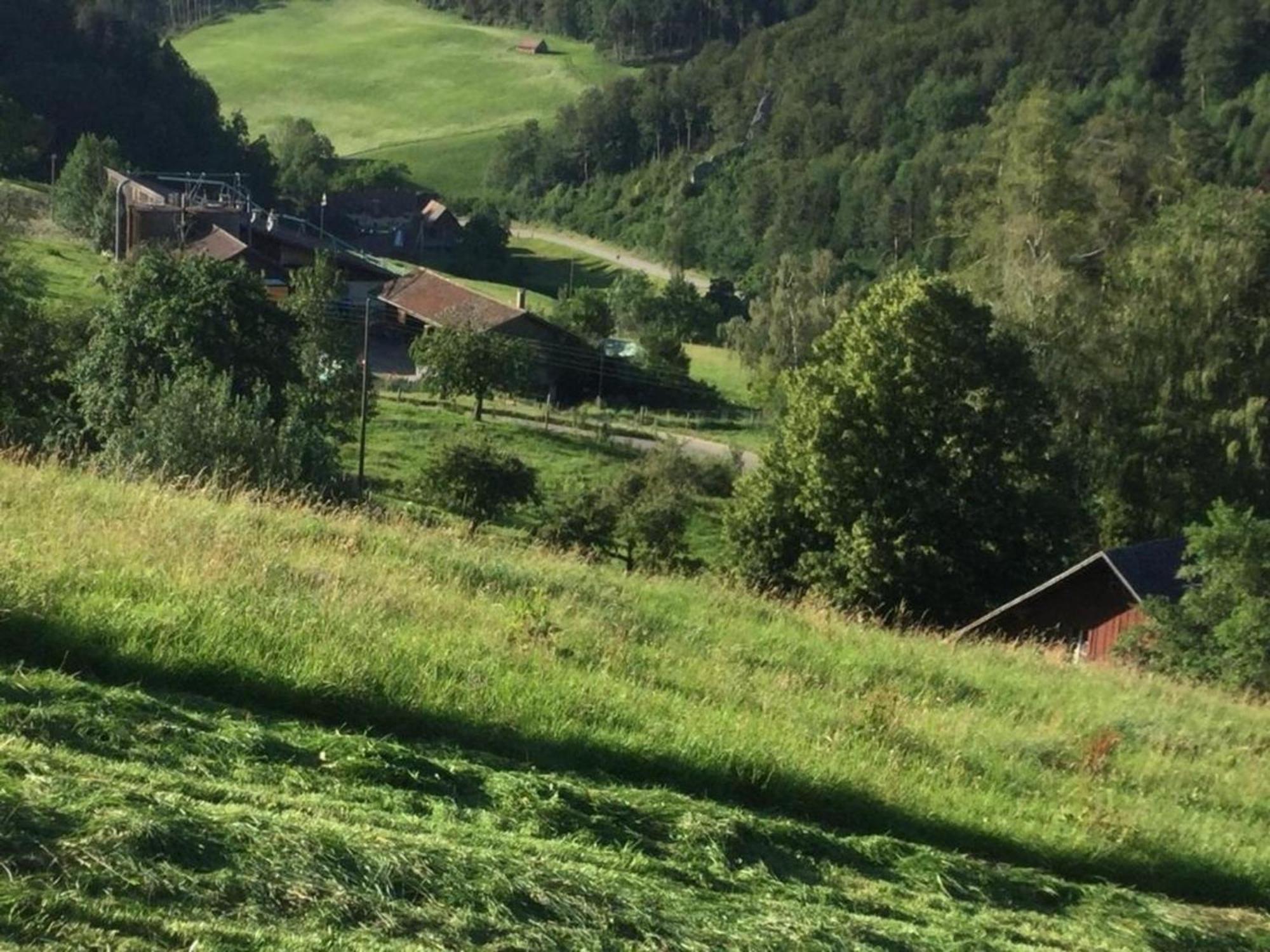 Ferienwohnung Hof Unterer Duerrenberg Langenbruck Экстерьер фото